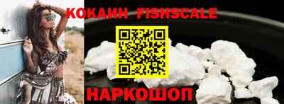 индика Гусев