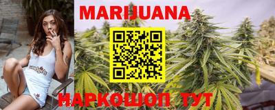 индика Гусев