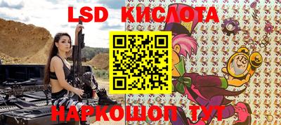 индика Гусев