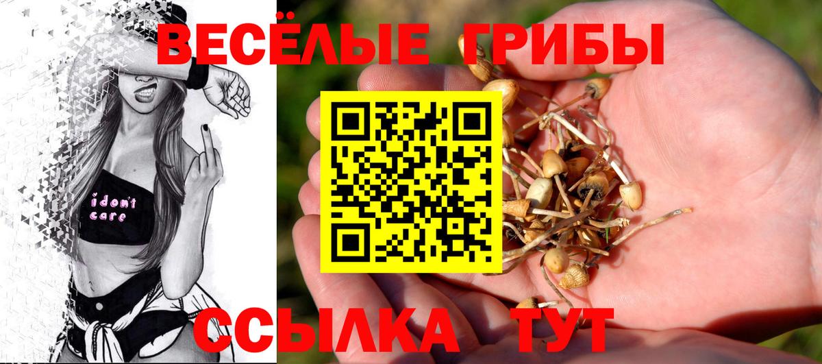 Лобня  Псилоцибиновые грибы MAGIC MUSHROOMS  Вход с VPN 